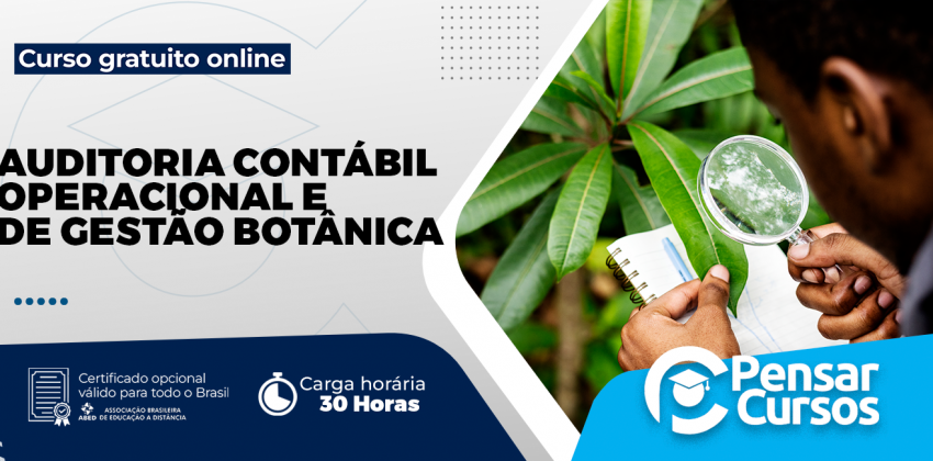 Auditoria Contábil Operacional e de Gestão